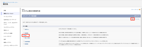 新規項目_データ型設定画面