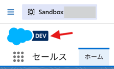 切り替え後の「DEV」表示