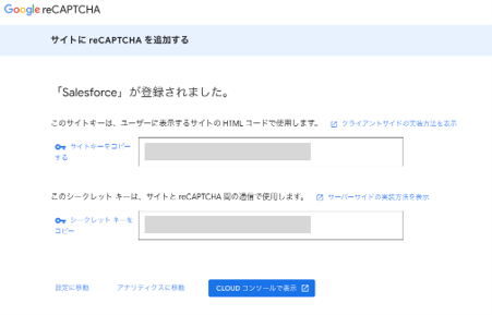 reCAPTCHA