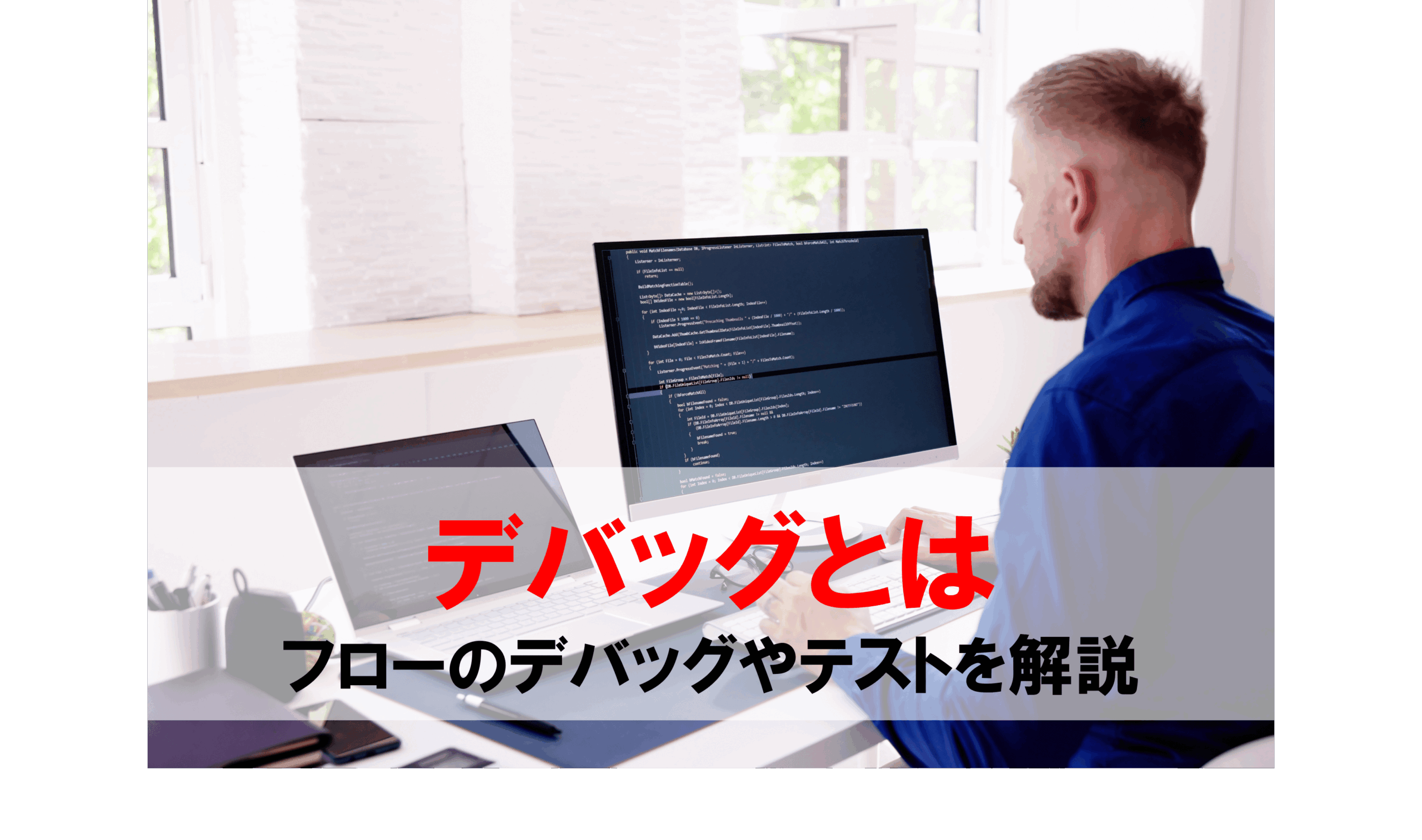 デバッグとは フローのデバッグやテストを分かりやすく解説 - フロッグ